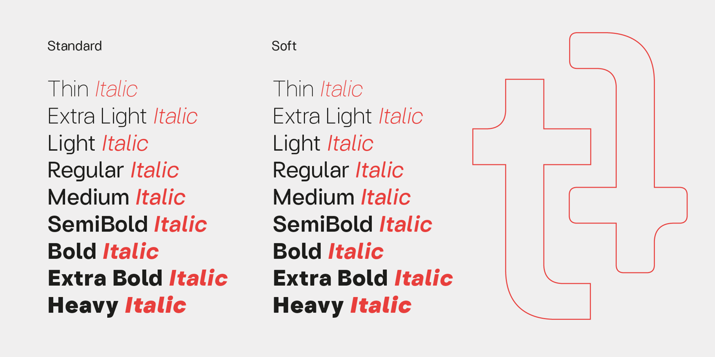 Turnkey Soft Medium Italic字体购买,商用授权,下载-MyFonts代购店-字谷网