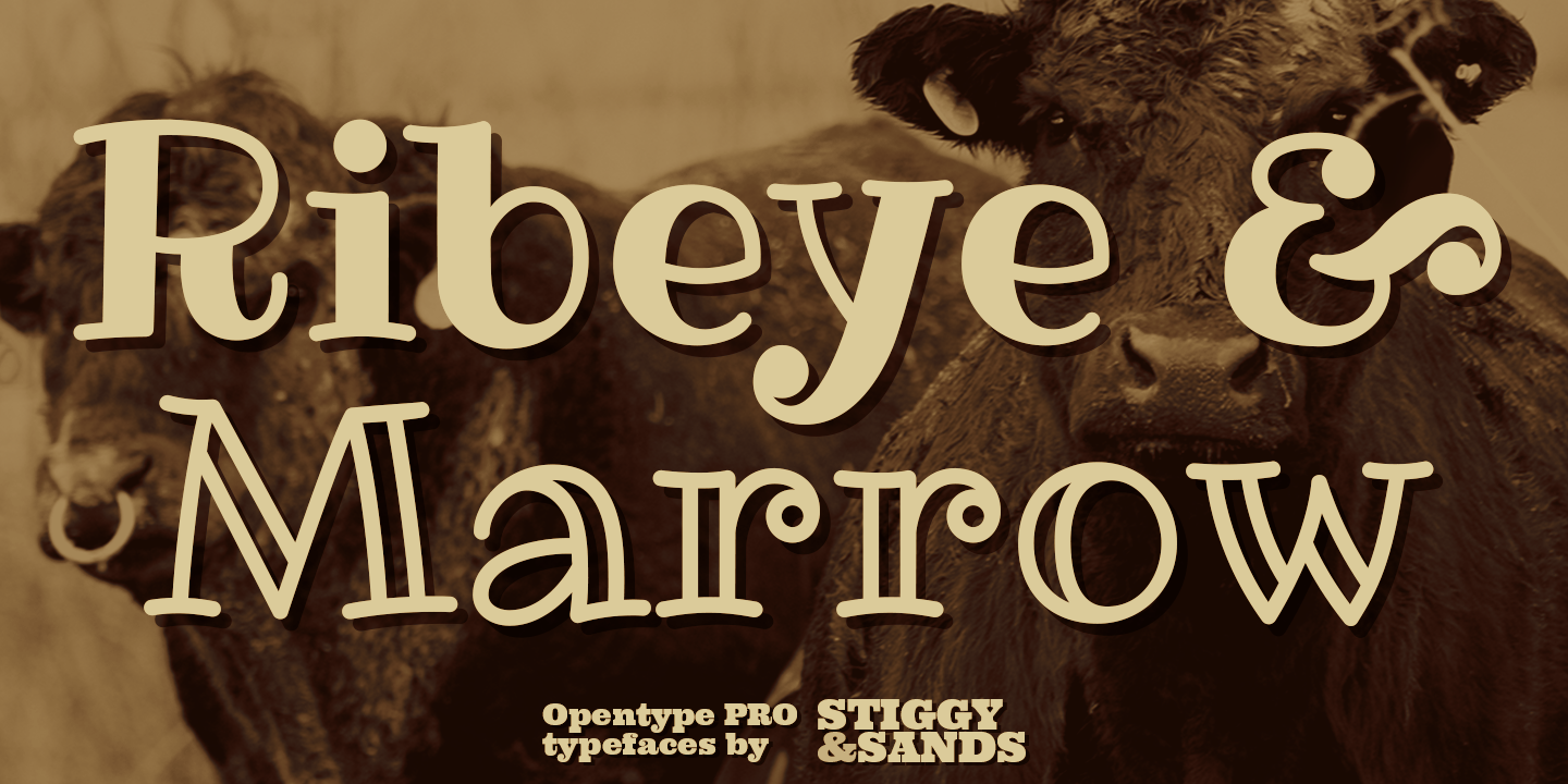 Font Preview