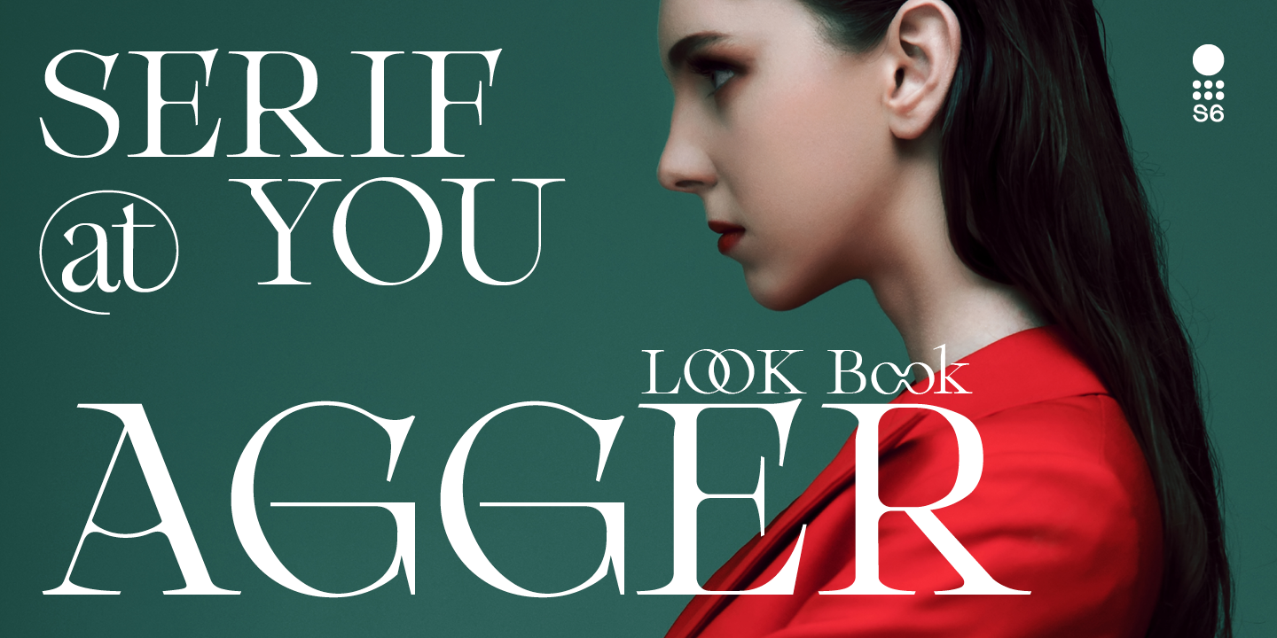 Agger serif Light字体购买,商用授权,下载-MyFonts代购店-字谷网