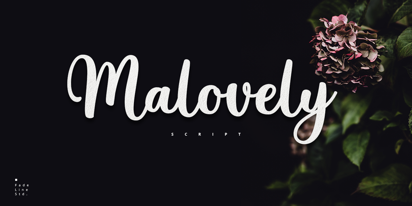 Font Preview