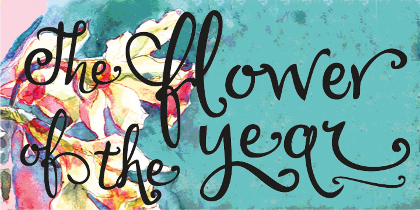 Font Preview