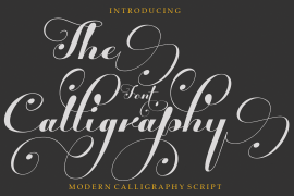 The Calligraphy Regular