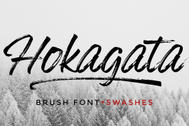 Hokagata Brush Swashes