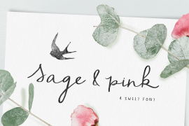 Sage & Pink Plain