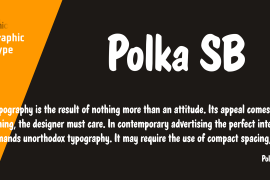 Polka SB Regular
