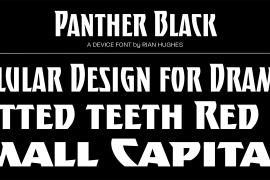 Panther Black Condensed