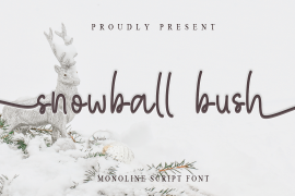 Snowball Bush Regular