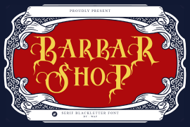 Barbar Shop Regular