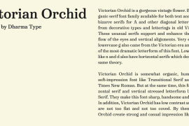 Victorian Orchid Bold Italic