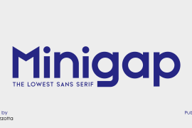Minigap Regular