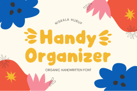 Handy Organizer Regular