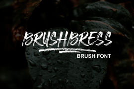 Brushbress Regular