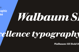 Walbaum SH Italic