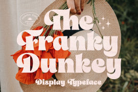 The Franky Dunkey Regular