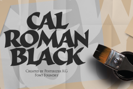 Cal Roman Black Regular