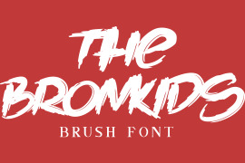 The Bronkids Regular