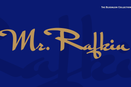 Mr Rafkin Pro Regular