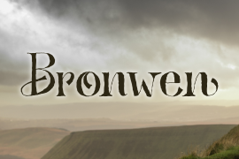 Bronwen Italic