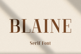 Blaine Regular