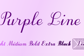 Purple Line Extra