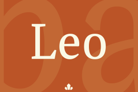 Leo Book Italic