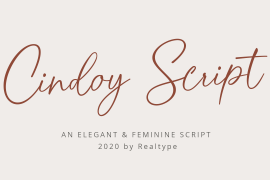 Cindoy Script Regular