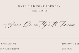 Rare Bird Specimen VI Regular