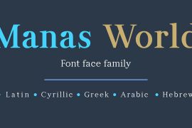 Manas World Light Italic