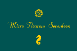 Micro Fleurons Micro Fleurons