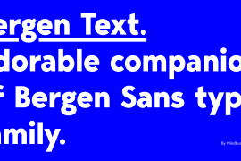 Bergen Text Bold Italic