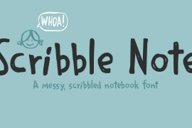 Scribble Note Reg