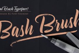 Bash Brush Regular