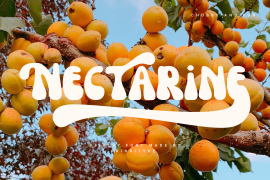 Nectarine Regular