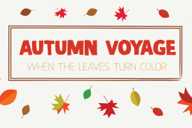 Autumn Voyage Regular