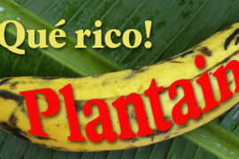 Plantain