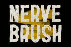 Nerve Brush Regular