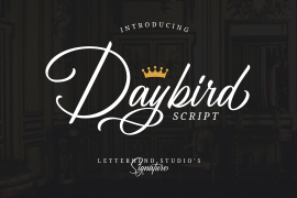 Daybird Script Regular