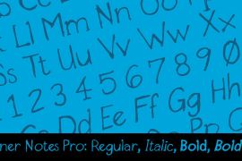 Designer Notes Pro Bold Italic