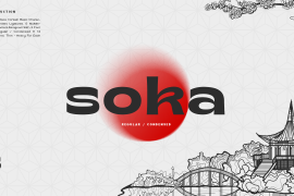 Soka Thin condensed