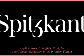 Spitzkant Text Bold