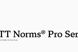 TT Norms Pro Serif
