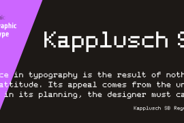 Kapplusch SB Regular