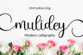 Mulidey Regular