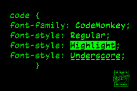 Code Monkey Highlight Regular