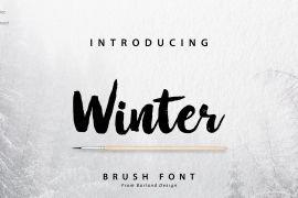 Winter Brush