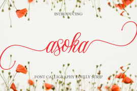 Asoka Regular