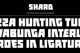 Shard Regular