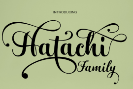 Hatachi Italic