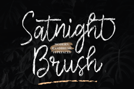 Satnight Brush Regular