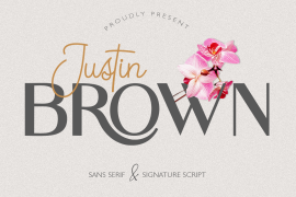 Justin Brown Monoline Regular